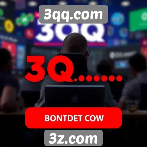 Investigações sobre segurança e privacidade em 3qq.com